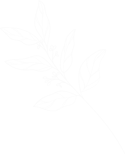 image branch