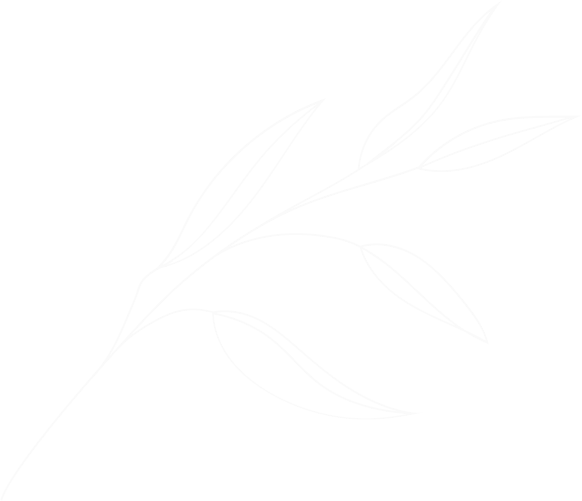 image branch
